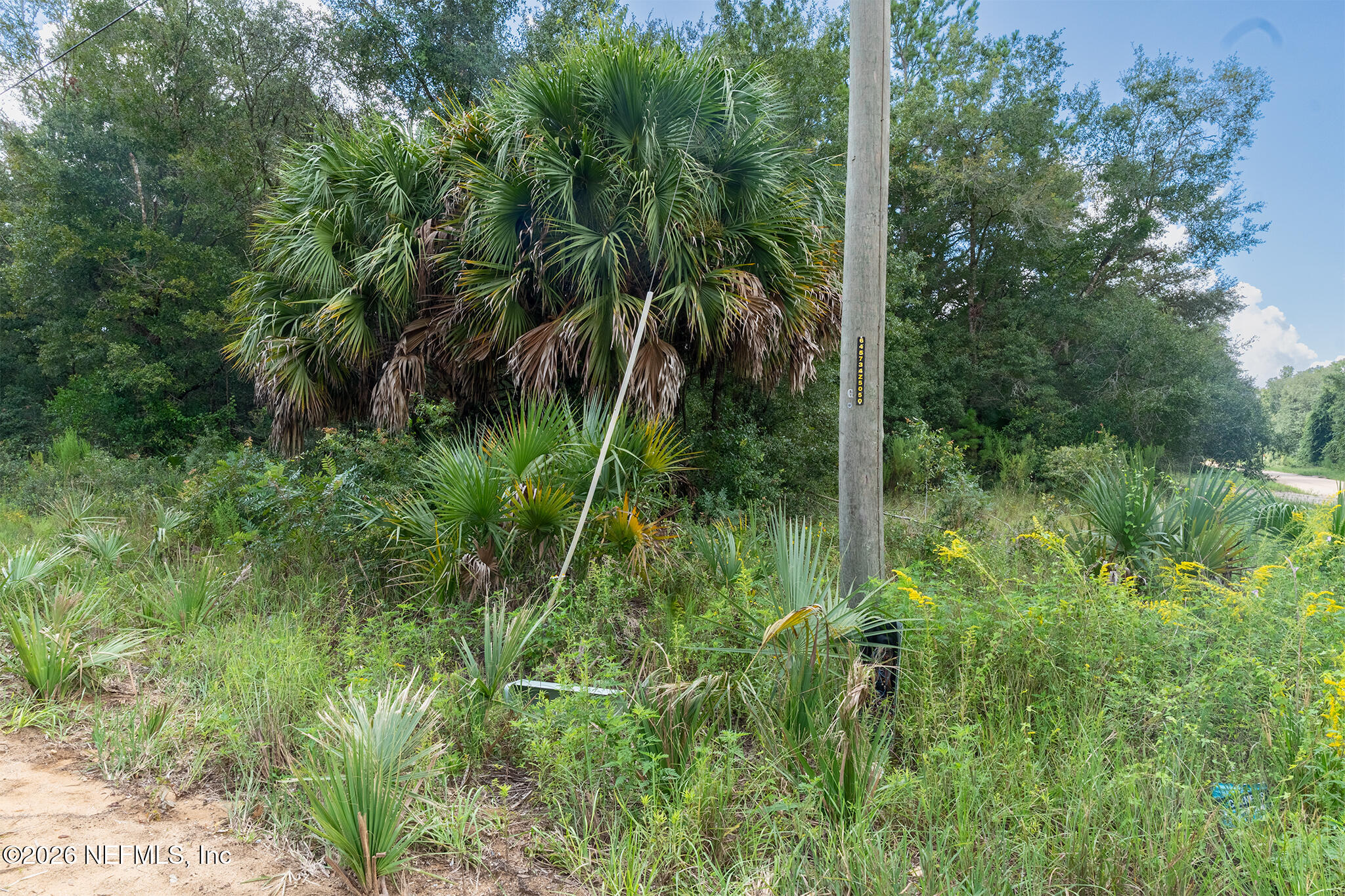 10 Kin Street Interlachen, FL 32148 - Photo 2 of 10 6 Lots Camera - 1