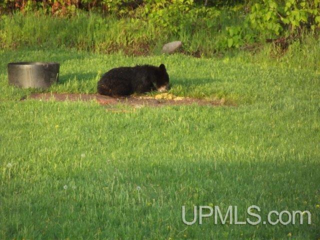 8814 Rousseau Road Mass City, MI 49948 - Photo 32 of 36