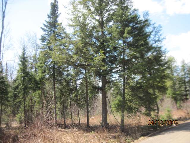On Orchard Road Butternut, WI 54514 - Photo 17 of 20 Gallery Image 17