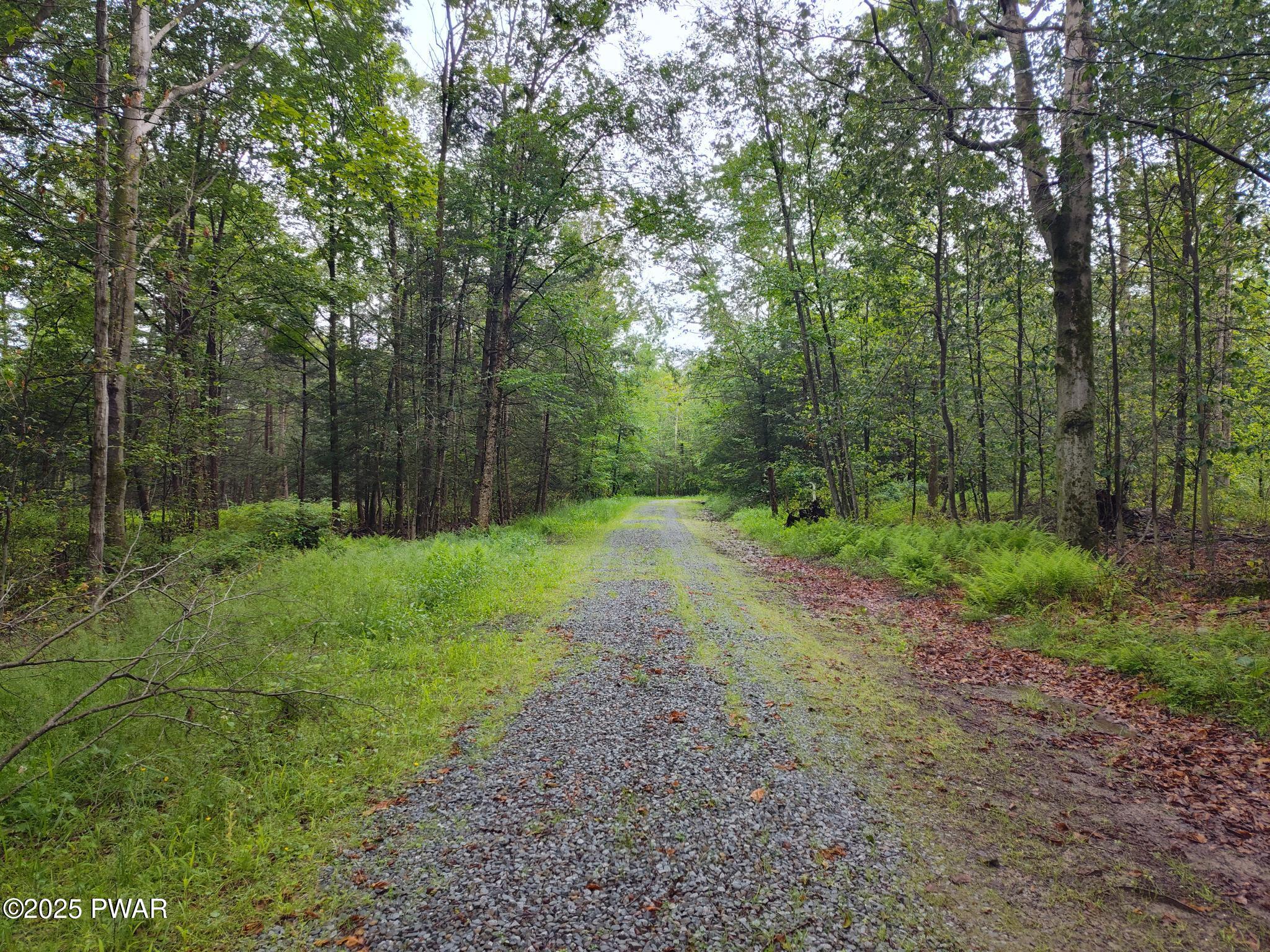 Lot 109 Aka) Gibralter Road Newfoundland, PA 18445 - Photo 1 of 19