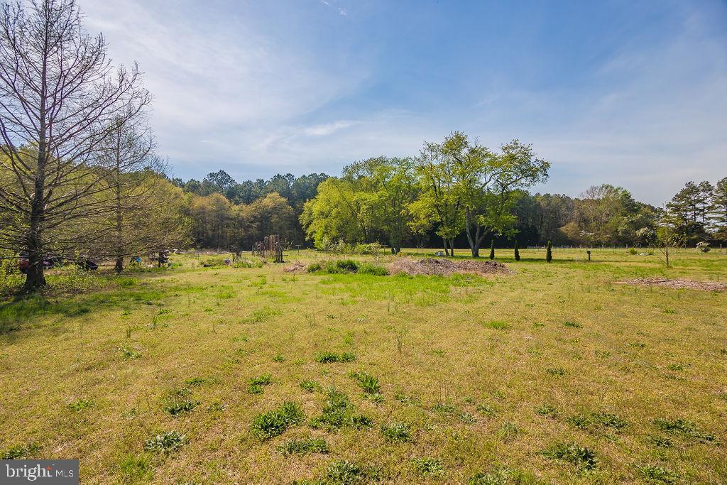 5264 Sharps Point Road Salisbury, MD 21801 - Photo 24 of 62 Gallery Image 24