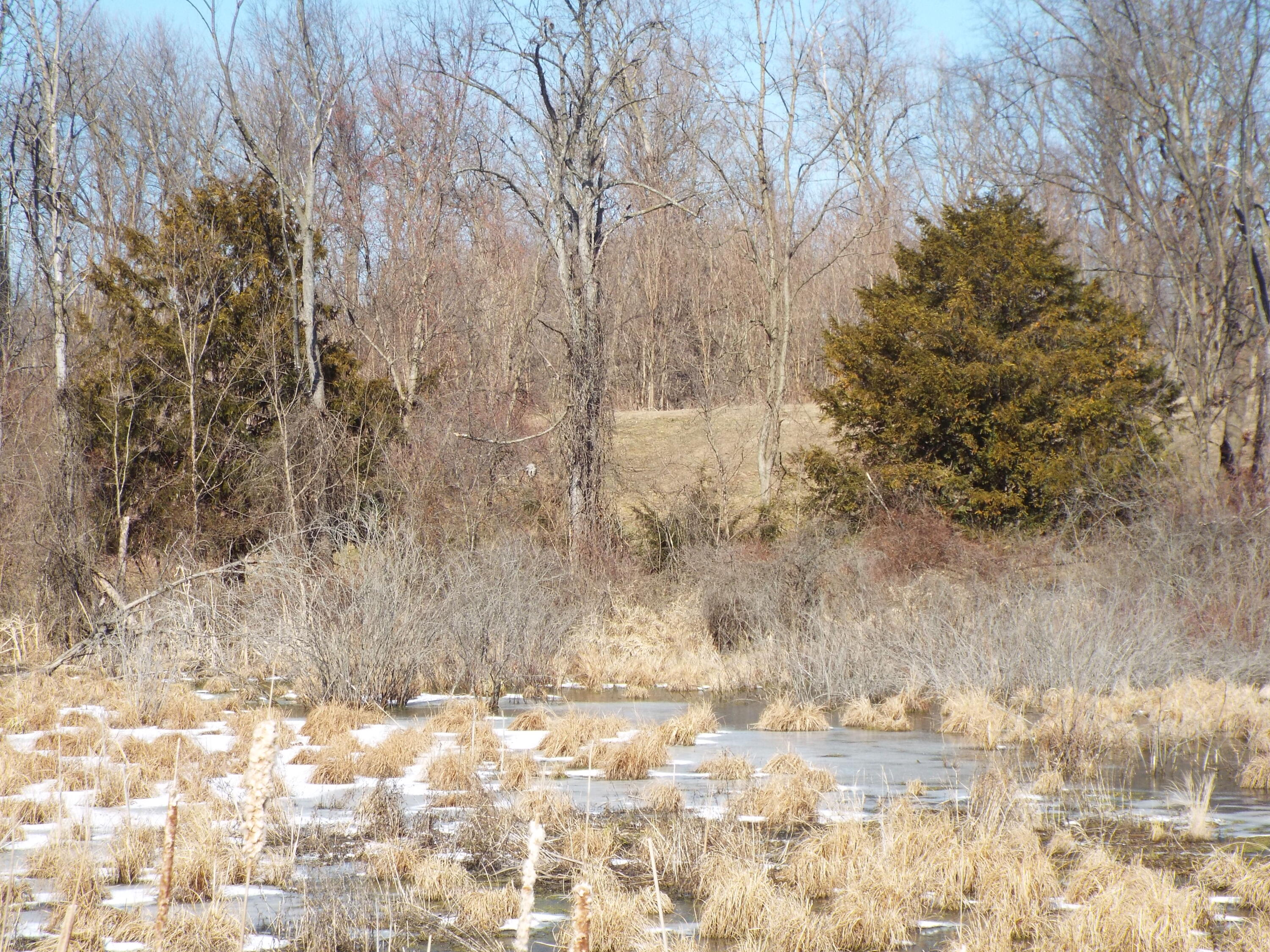 Vl Brills Lake Road Jackson, MI 49201 - Photo 12 of 17 DSCF2167