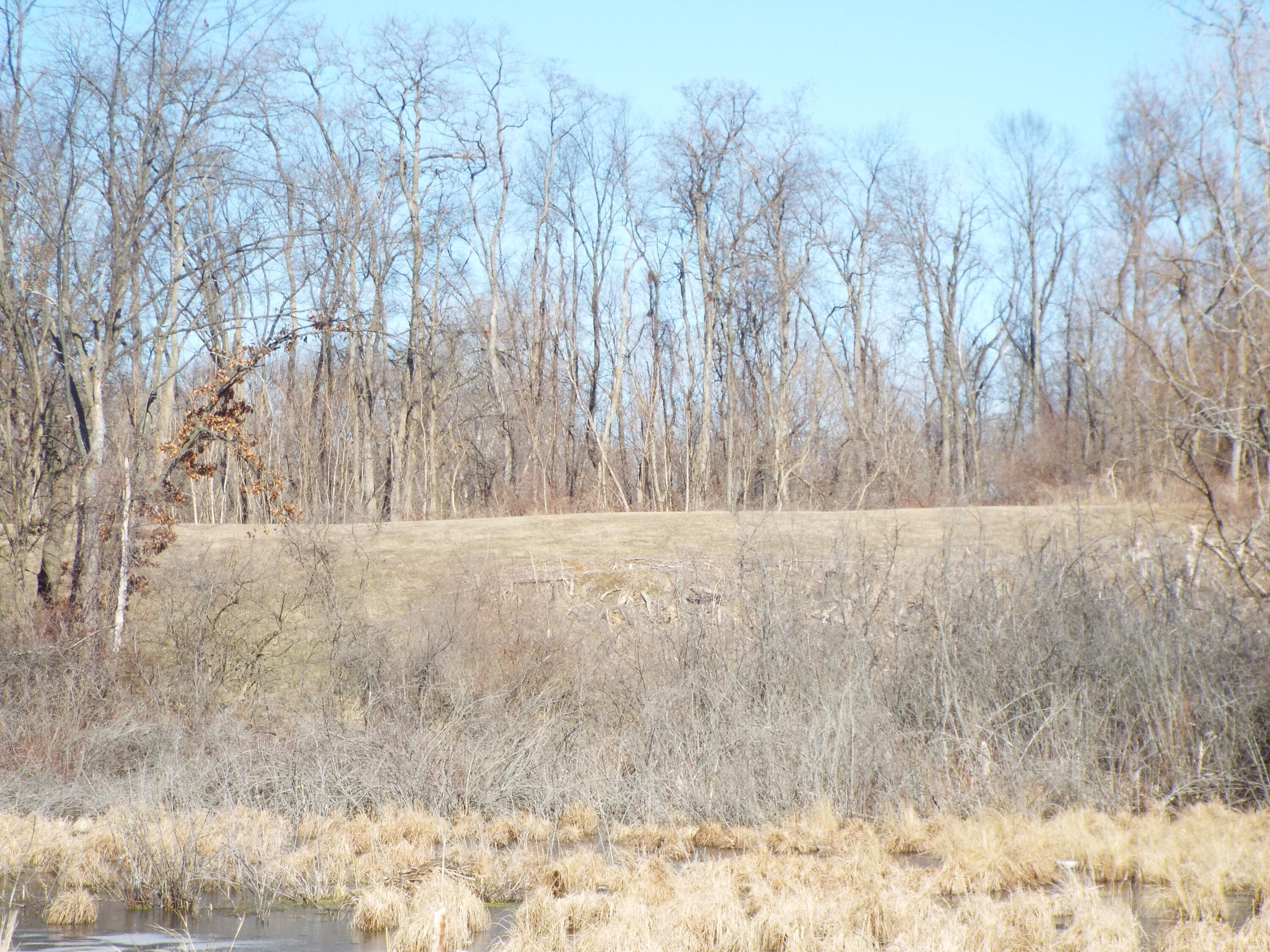 Vl Brills Lake Road Jackson, MI 49201 - Photo 13 of 17 DSCF2168
