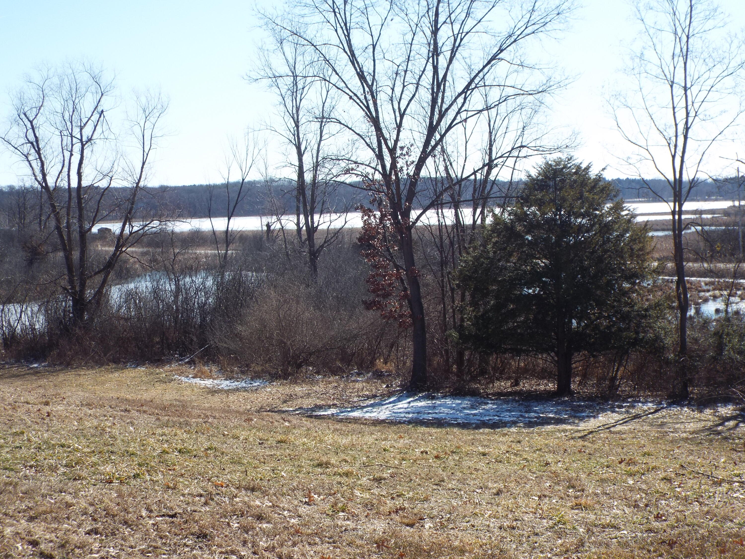 Vl Brills Lake Road Jackson, MI 49201 - Photo 14 of 17 DSCF2177