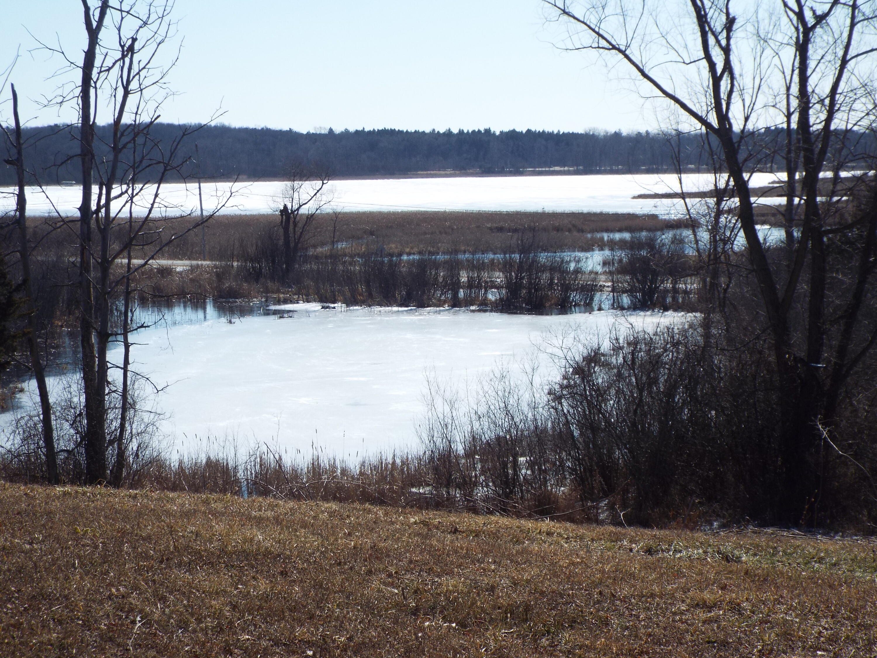 Vl Brills Lake Road Jackson, MI 49201 - Photo 15 of 17 DSCF2179