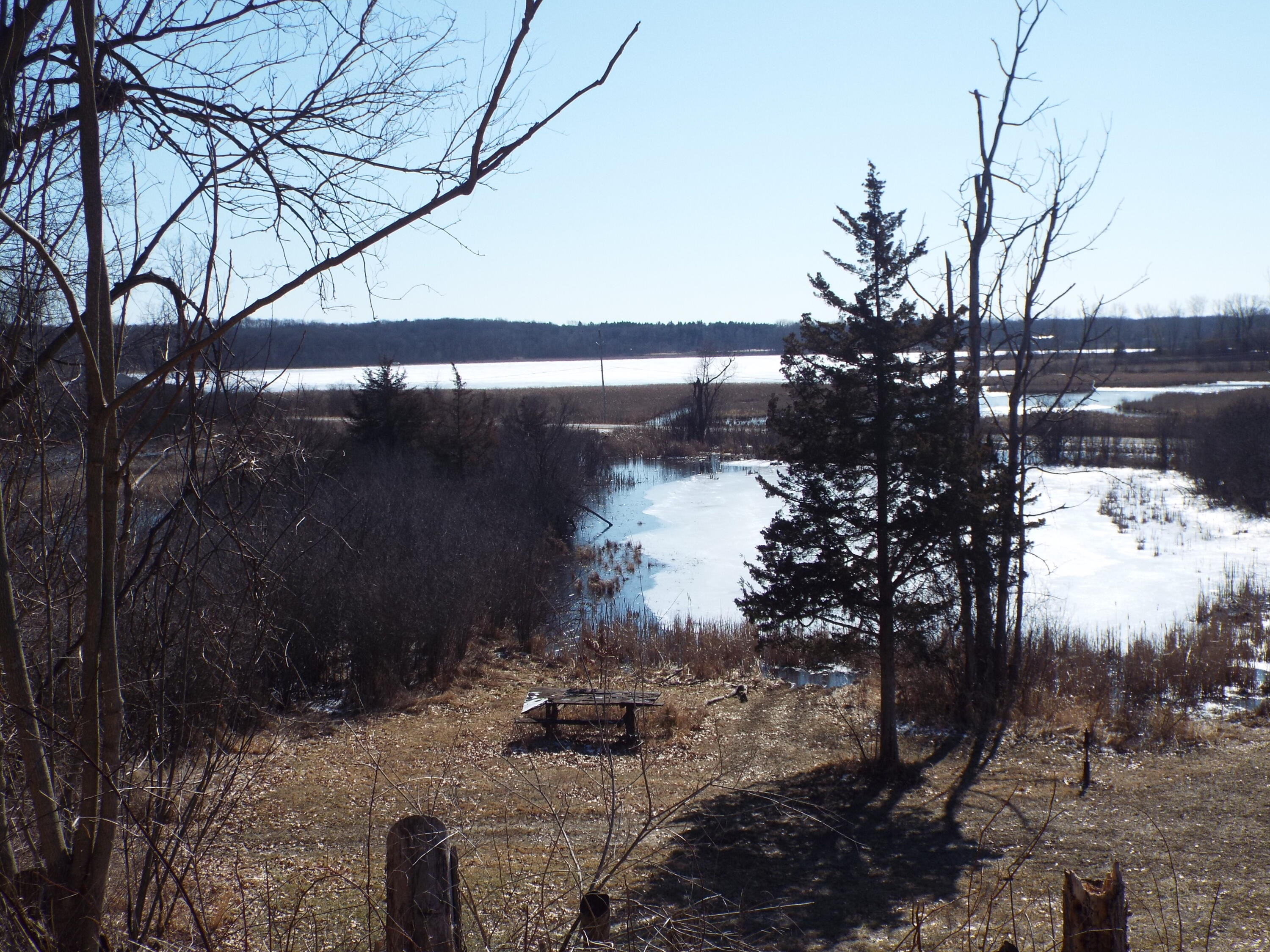 Vl Brills Lake Road Jackson, MI 49201 - Photo 16 of 17 DSCF2181