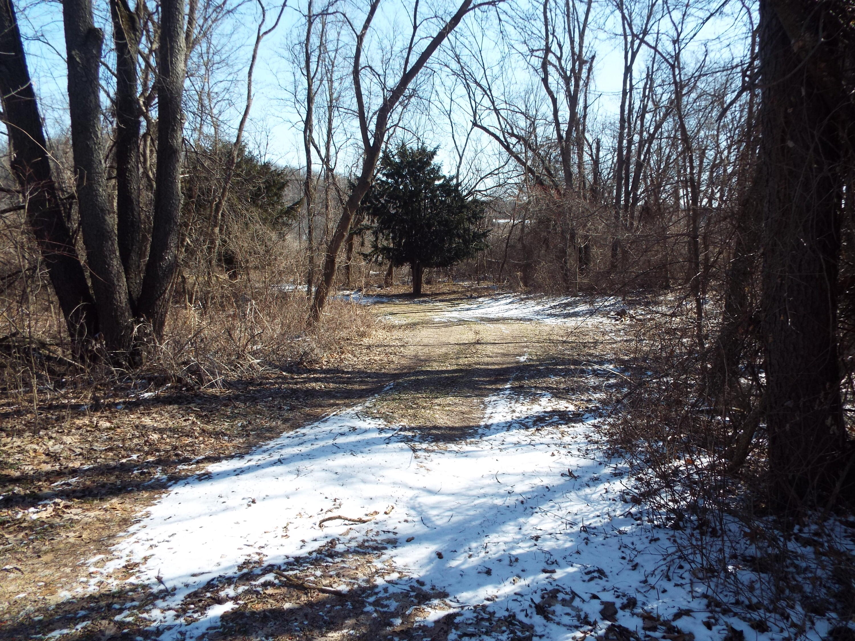 Vl Brills Lake Road Jackson, MI 49201 - Photo 2 of 17 DSCF2172