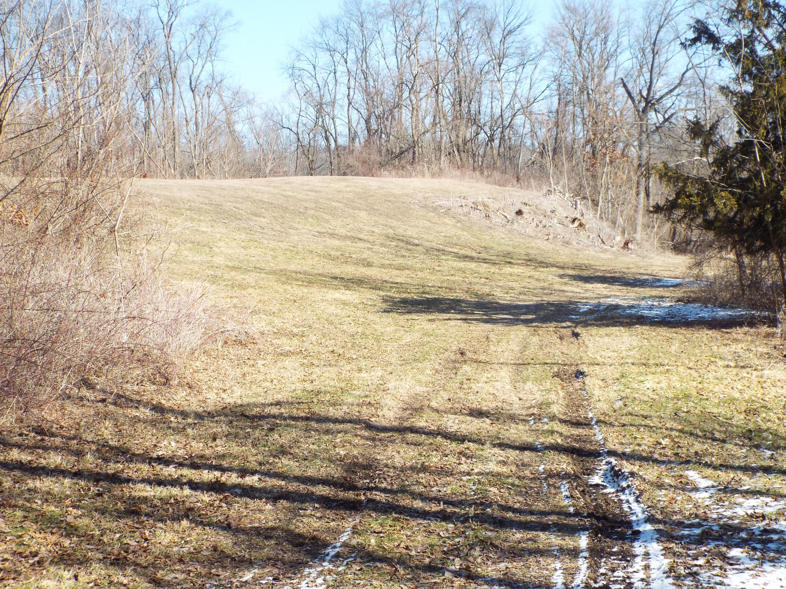 Vl Brills Lake Road Jackson, MI 49201 - Photo 4 of 17 DSCF2174