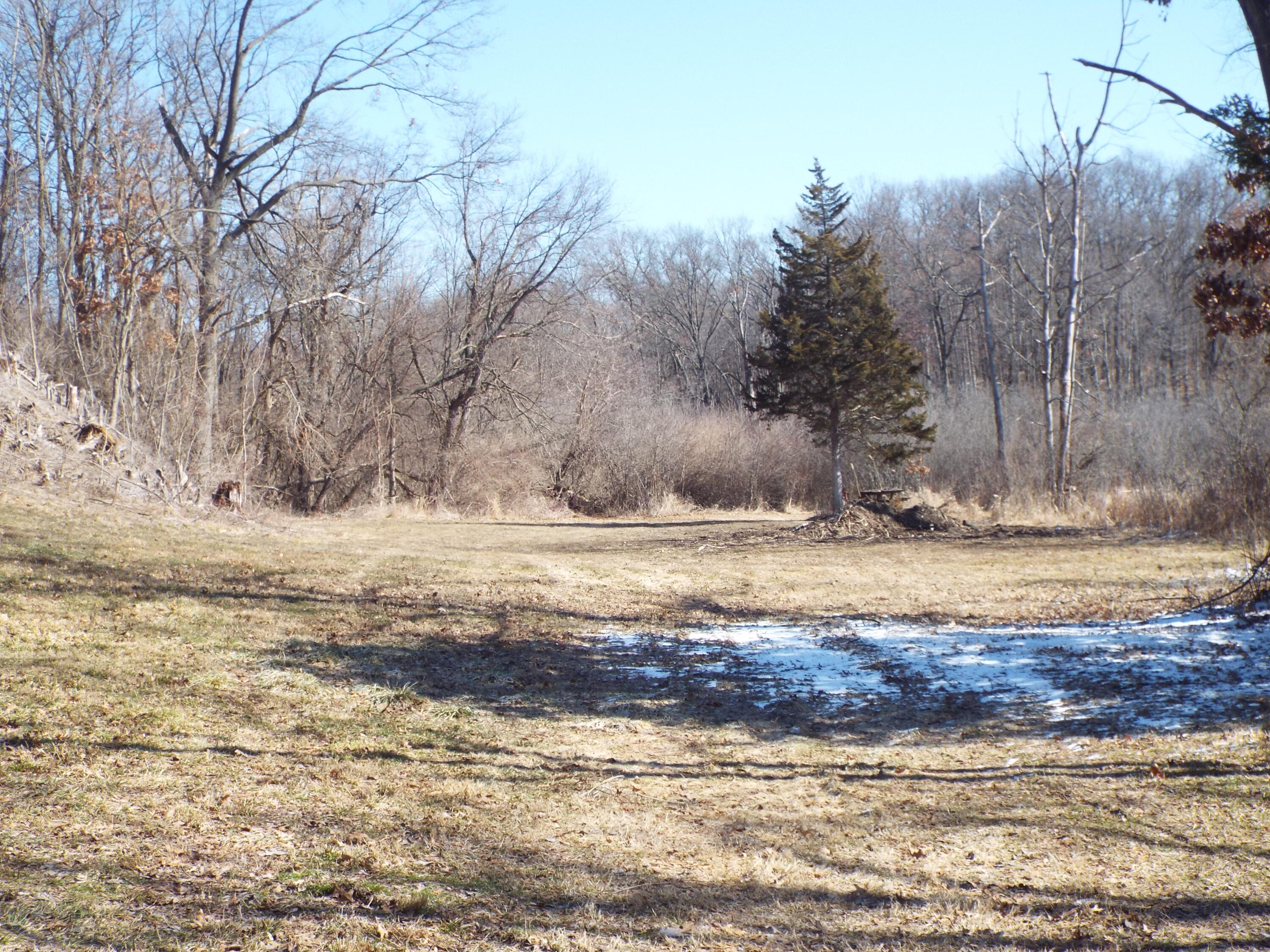 Vl Brills Lake Road Jackson, MI 49201 - Photo 5 of 17 DSCF2175
