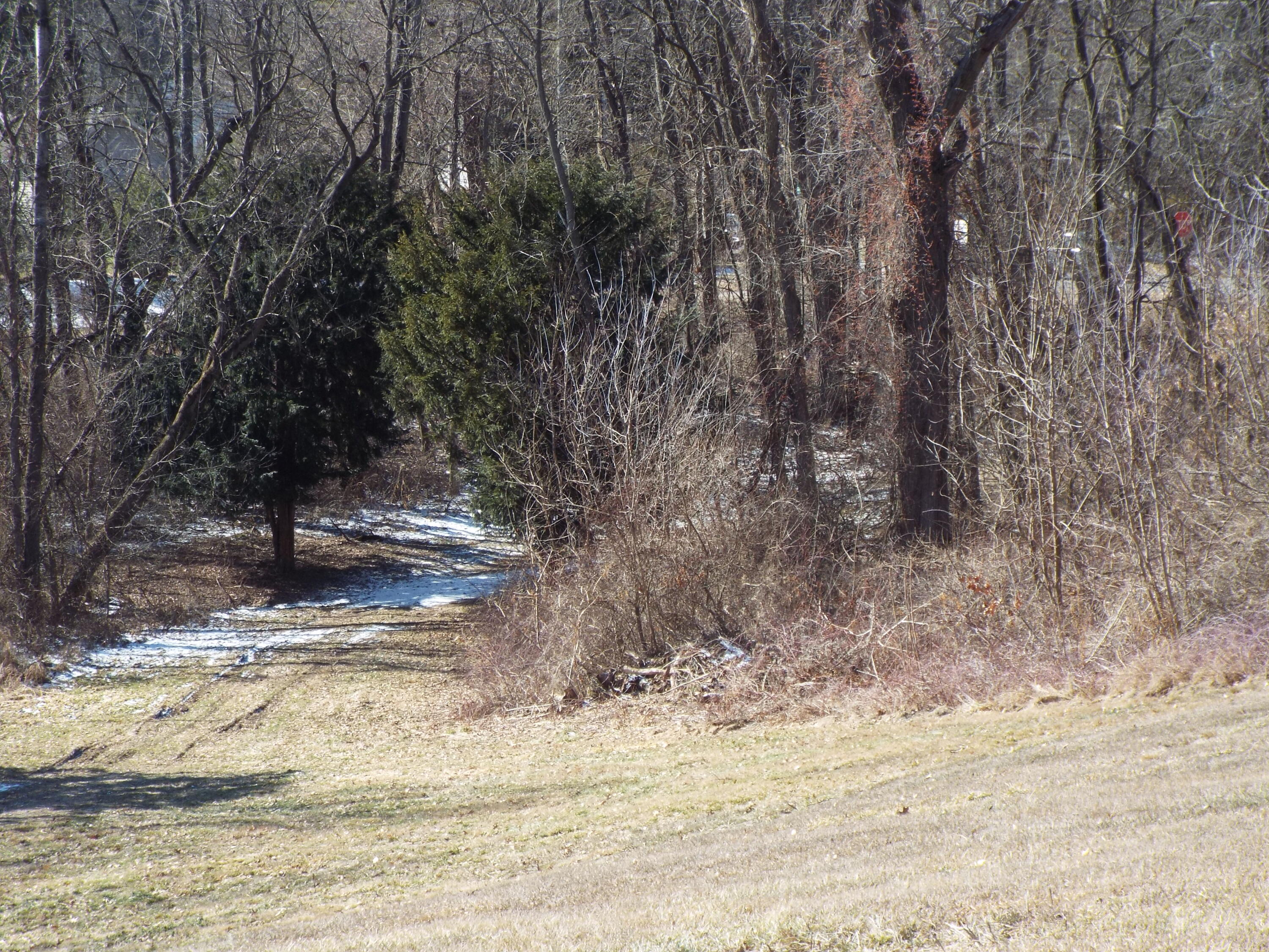 Vl Brills Lake Road Jackson, MI 49201 - Photo 6 of 17 DSCF2180