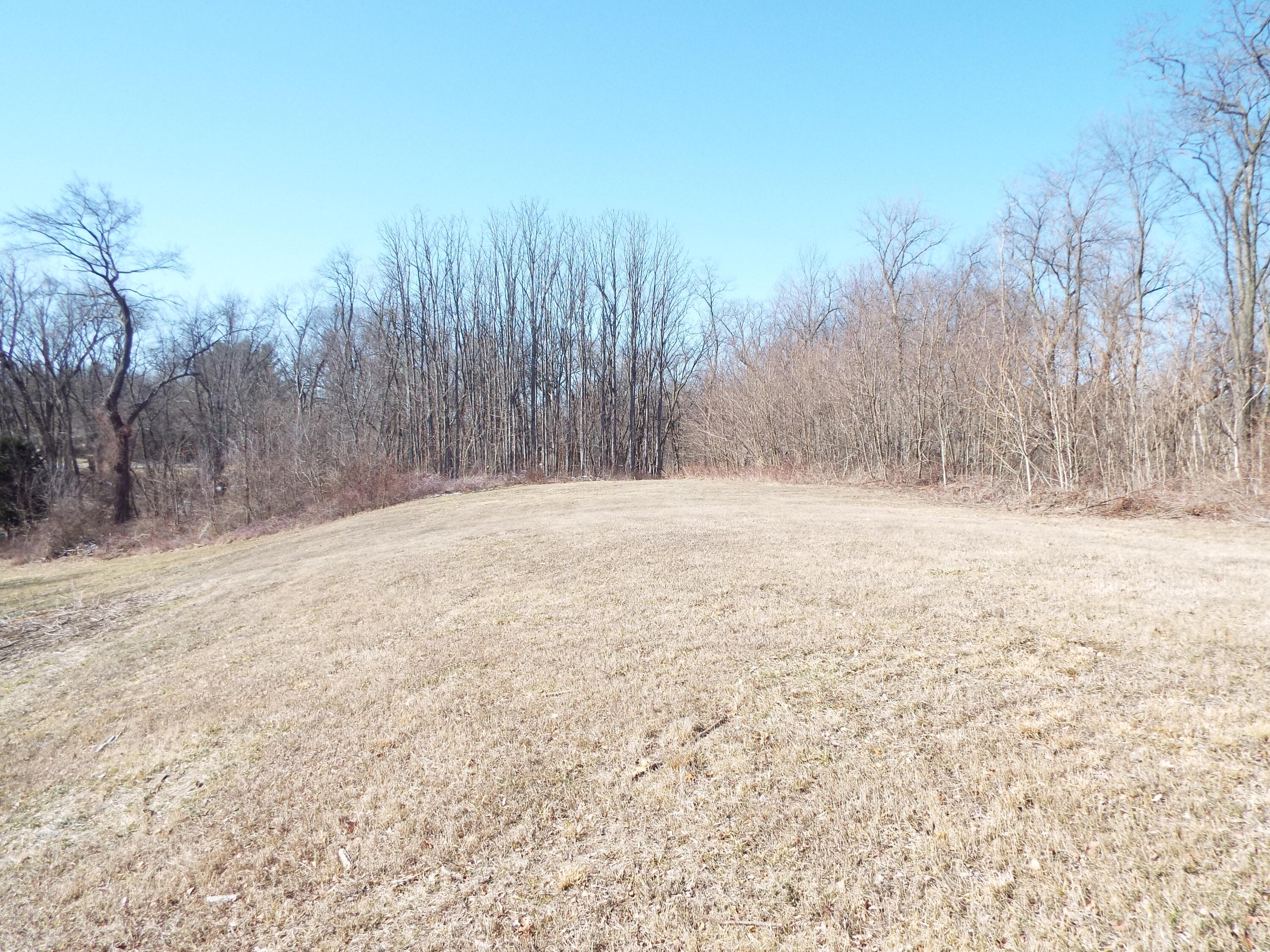 Vl Brills Lake Road Jackson, MI 49201 - Photo 7 of 17 DSCF2182
