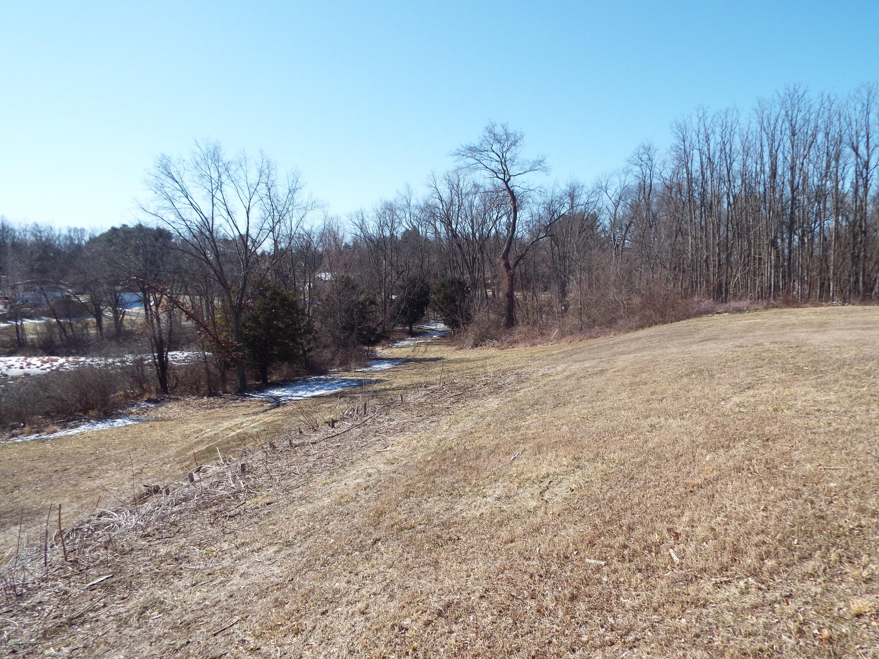 Vl Brills Lake Road Jackson, MI 49201 - Photo 8 of 17 DSCF2183