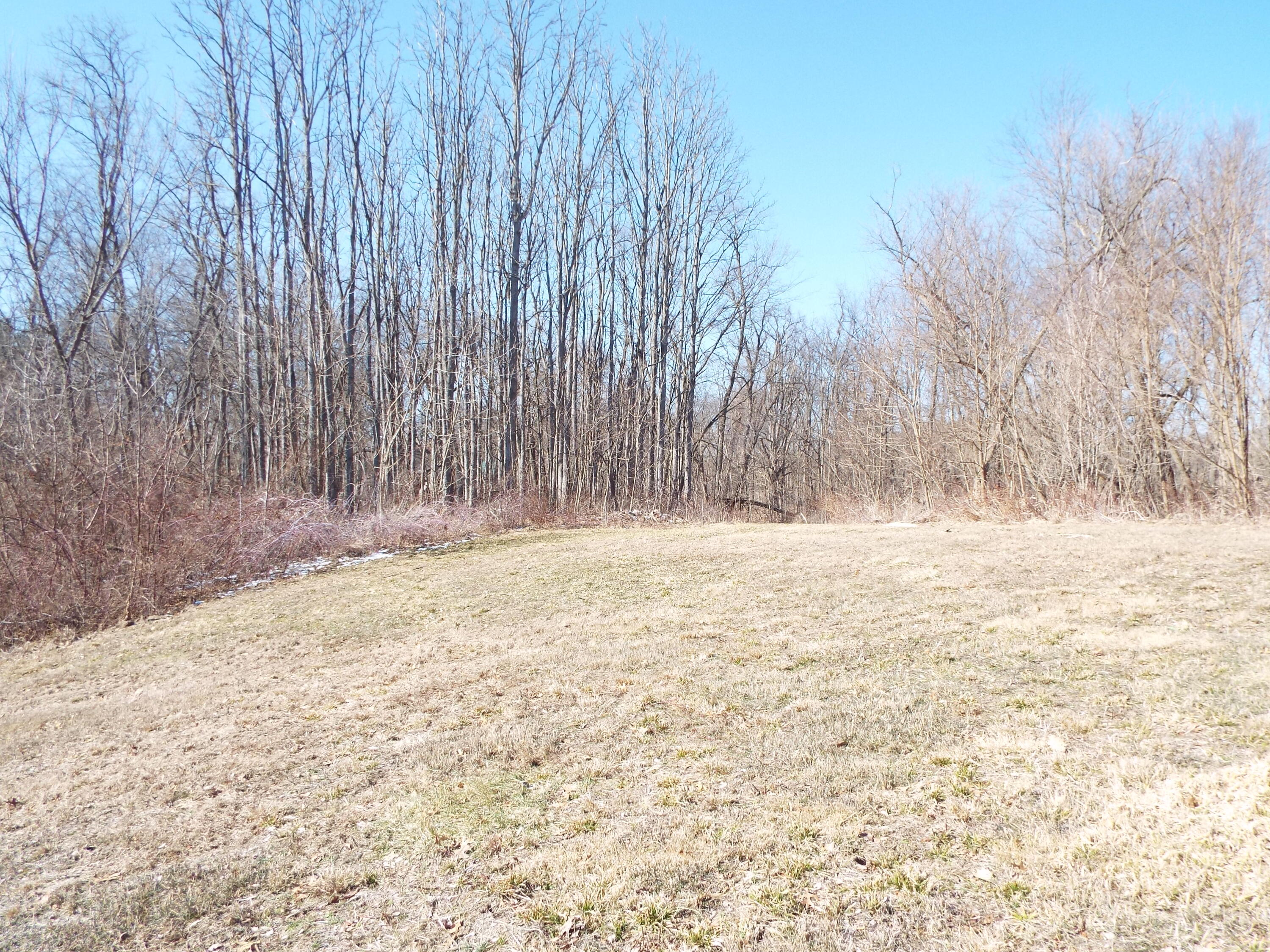 Vl Brills Lake Road Jackson, MI 49201 - Photo 10 of 17 DSCF2185