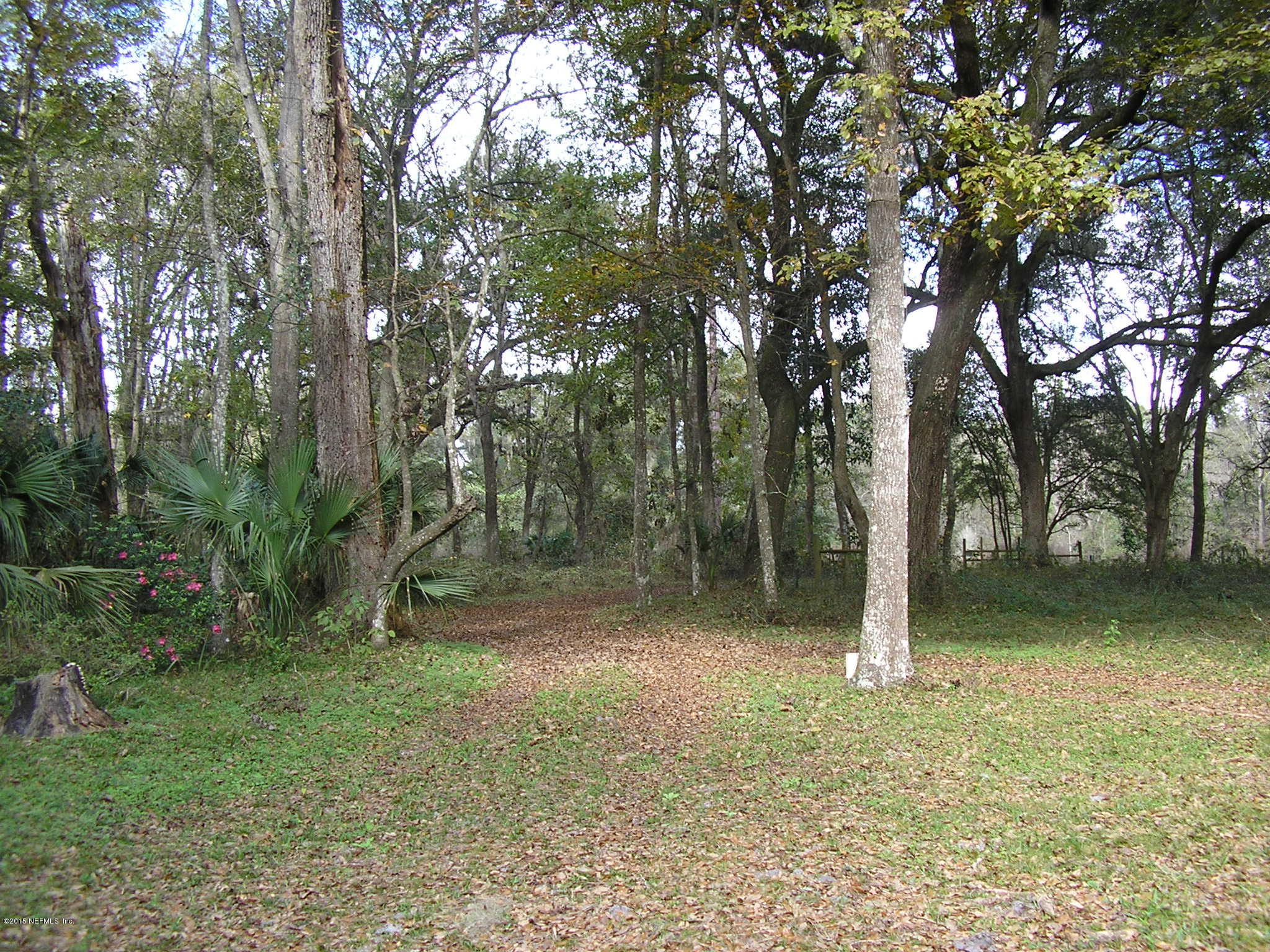 246 Nichols Road Florahome, FL 32140 - Photo 33 of 41 PROPERTY
