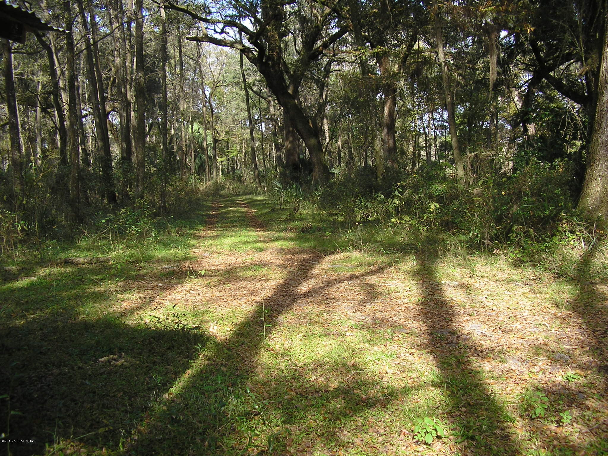 246 Nichols Road Florahome, FL 32140 - Photo 34 of 41 PROPERTY