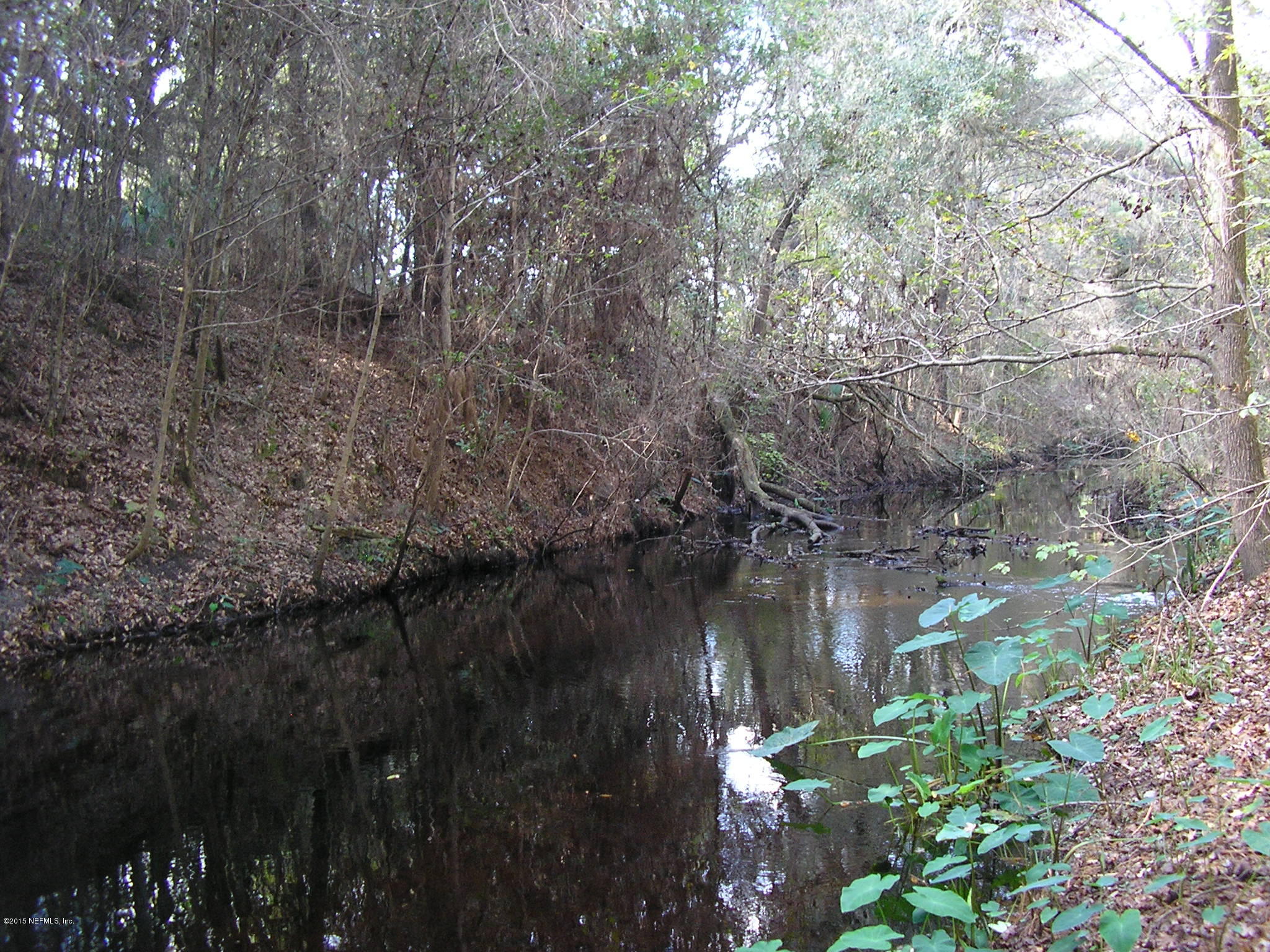 246 Nichols Road Florahome, FL 32140 - Photo 41 of 41 ETONIAH CANAL