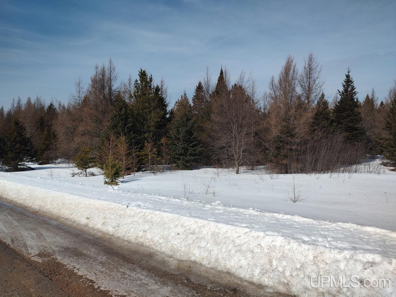 E 80-acres River Road Gulliver, MI 49840 - Photo 3 of 20