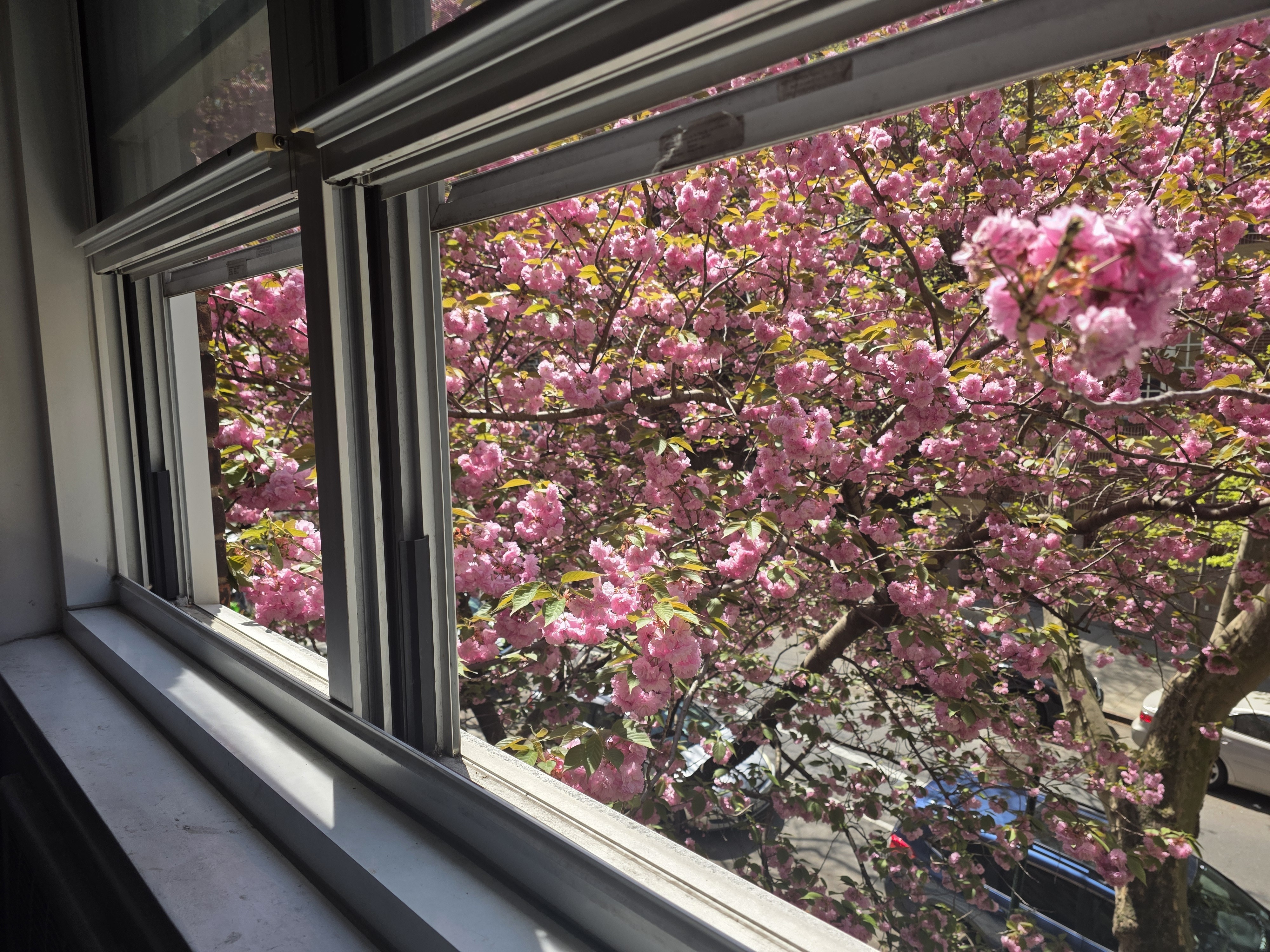 Undisclosed Address Queens, NY 11372 - Photo 4 of 9 a view of a living room