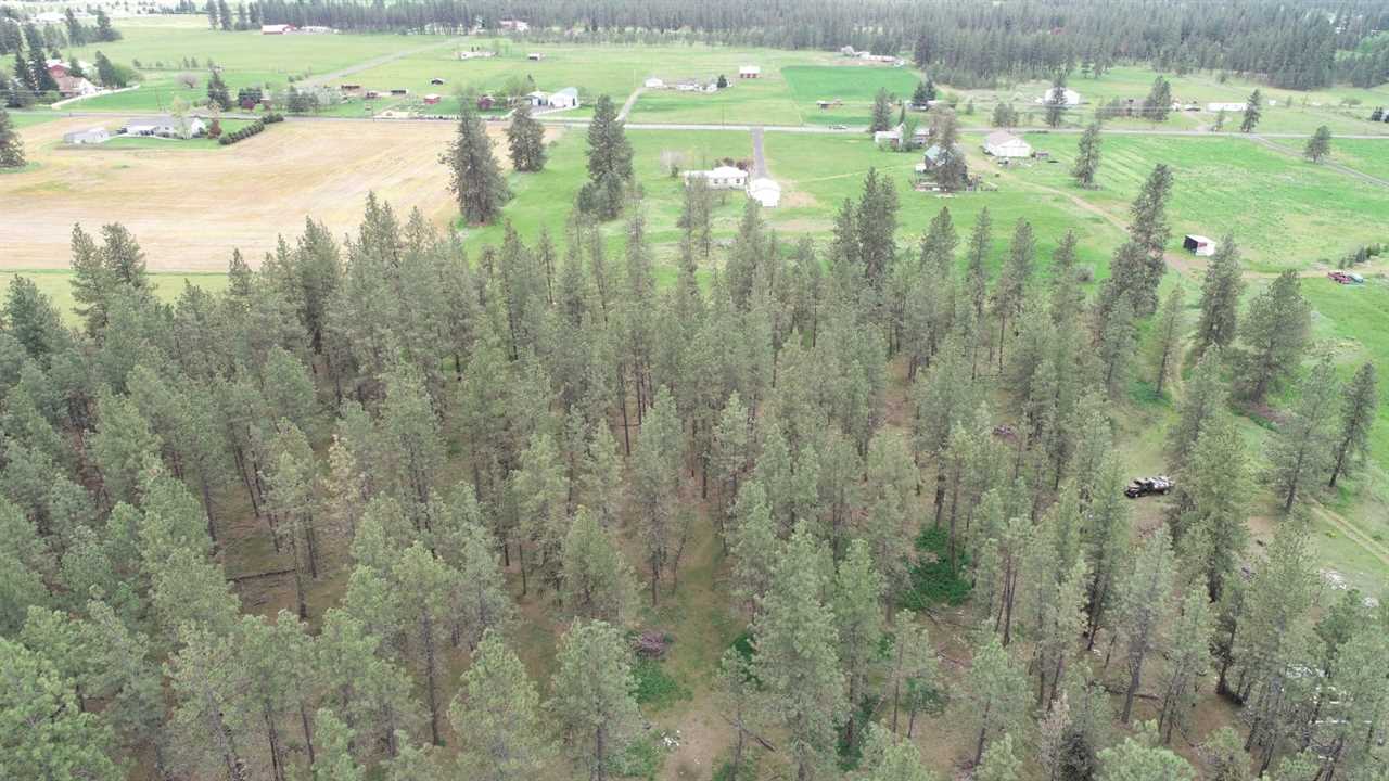 1118 West Paradise Road Spokane, WA 99224 - Photo 4 of 18