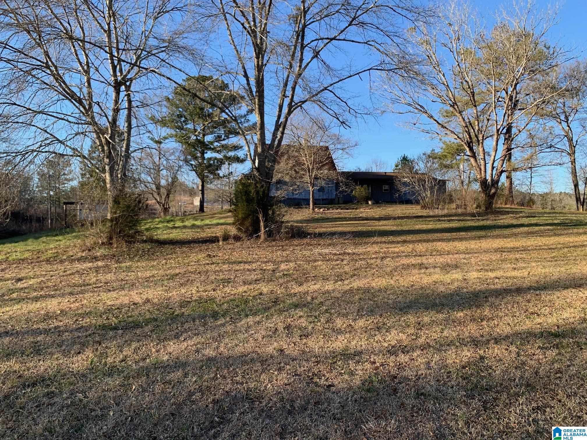 575 Saxon Creek Road Goodwater, AL 35072 - Photo 12 of 15