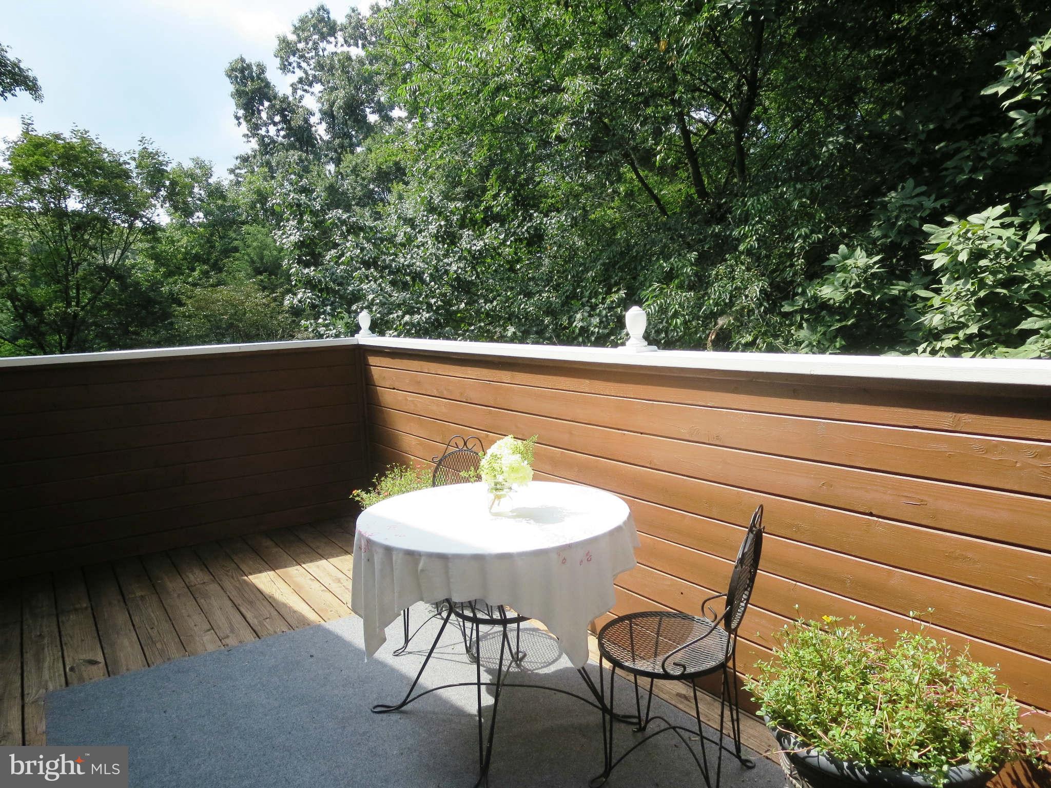 102 Davis Road Street, MD 21154 - Photo 20 of 30 Private Master Bedroom Balcony