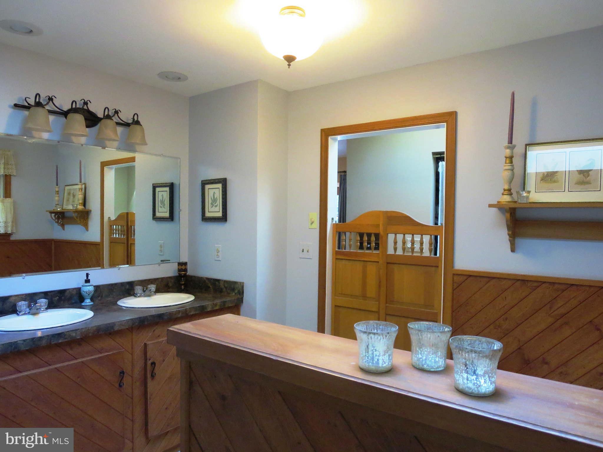 102 Davis Road Street, MD 21154 - Photo 21 of 30 Separate shower and Whirlpool Tub