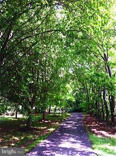102 Davis Road Street, MD 21154 - Photo 30 of 30 Driveway to your Private Oasis
