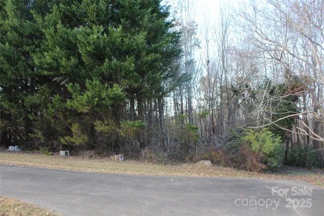 a view of a yard with a tree