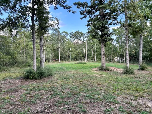 a view of a tree in a yard
