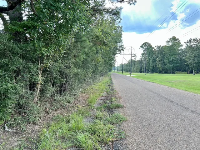 a view of a field with plants and trees
