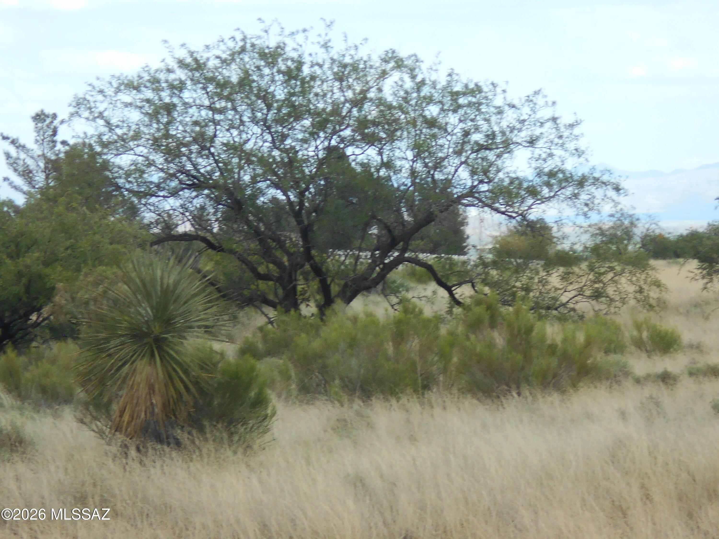 2.18-acres Treasure Road, Unit 7 Pearce, AZ 85625 - Photo 10 of 12
