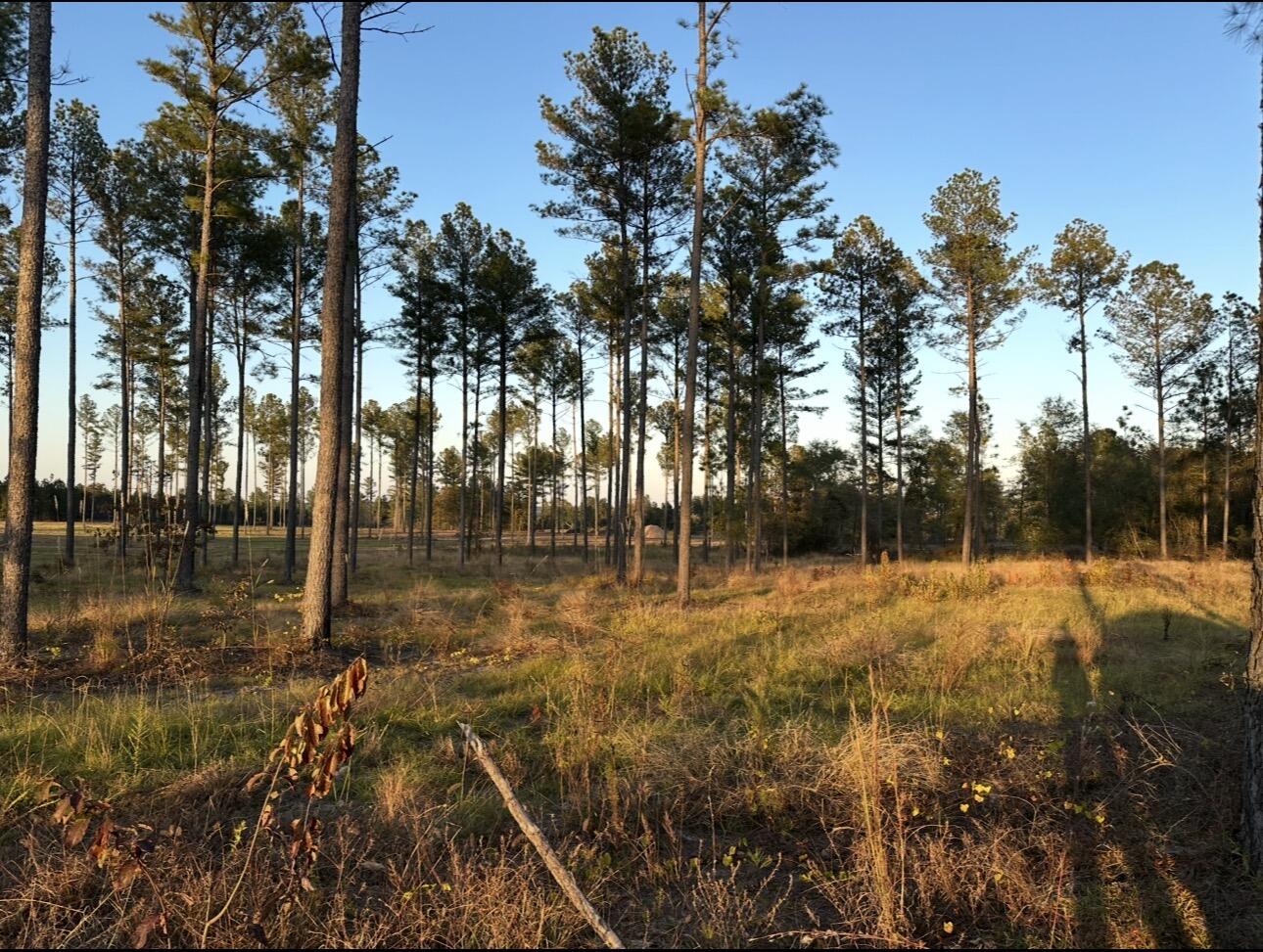 48 Snipes Pond Road Aiken, SC 29805 - Photo 1 of 1