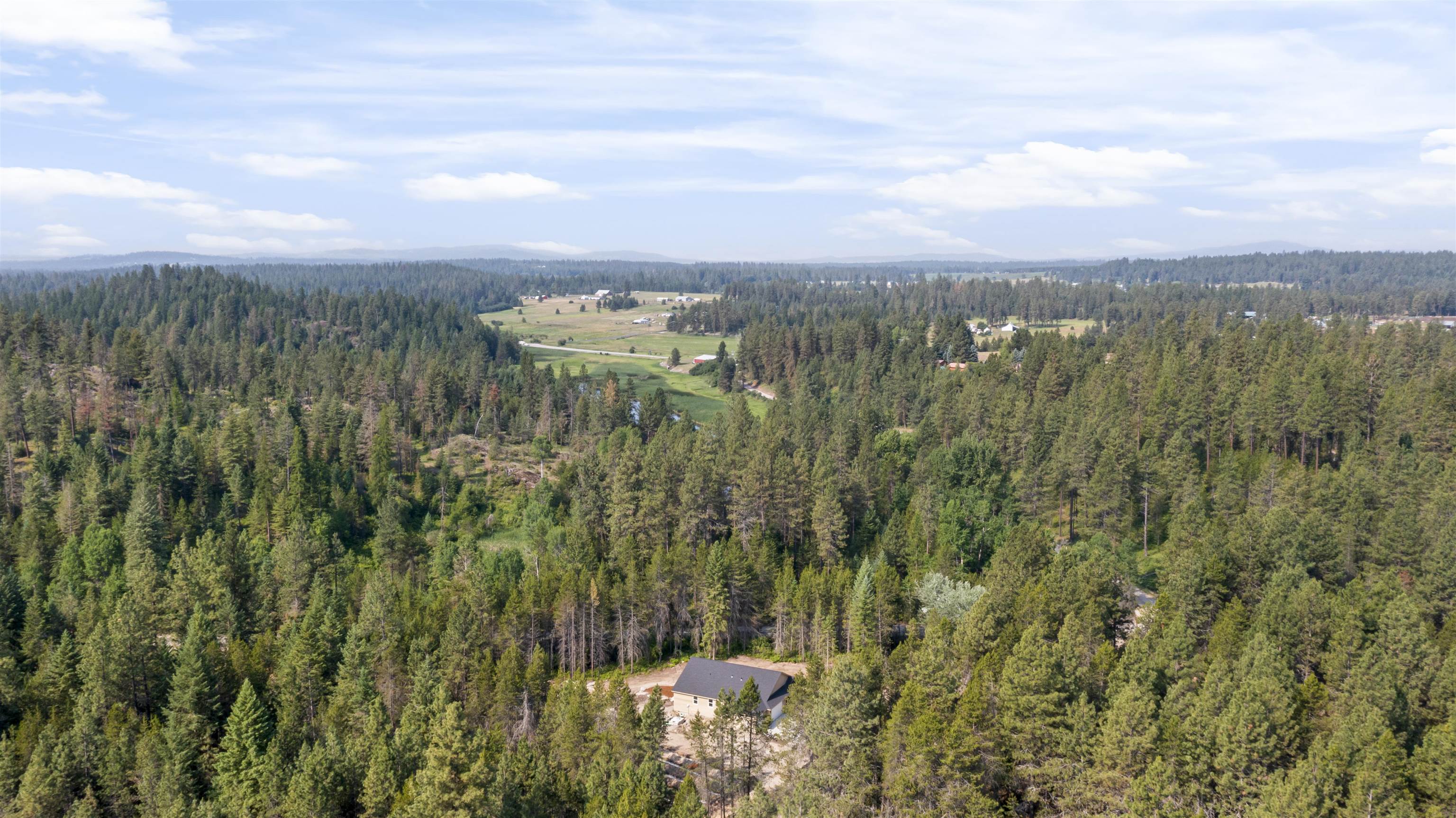 4622 East Apex Road Chattaroy, WA 99003 - Photo 5 of 37