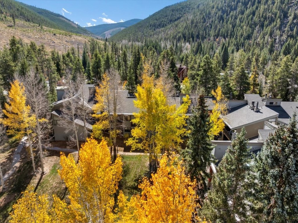 1937 Soda Ridge Road, Unit 1159 Keystone, CO 80435 - Photo 21 of 29 a view of outdoor space and trees