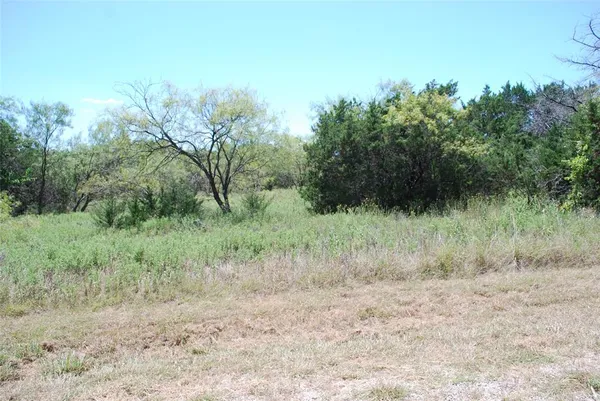 $11,900 | 43131 Mountain Sage Drive, Whitney, TX 76692