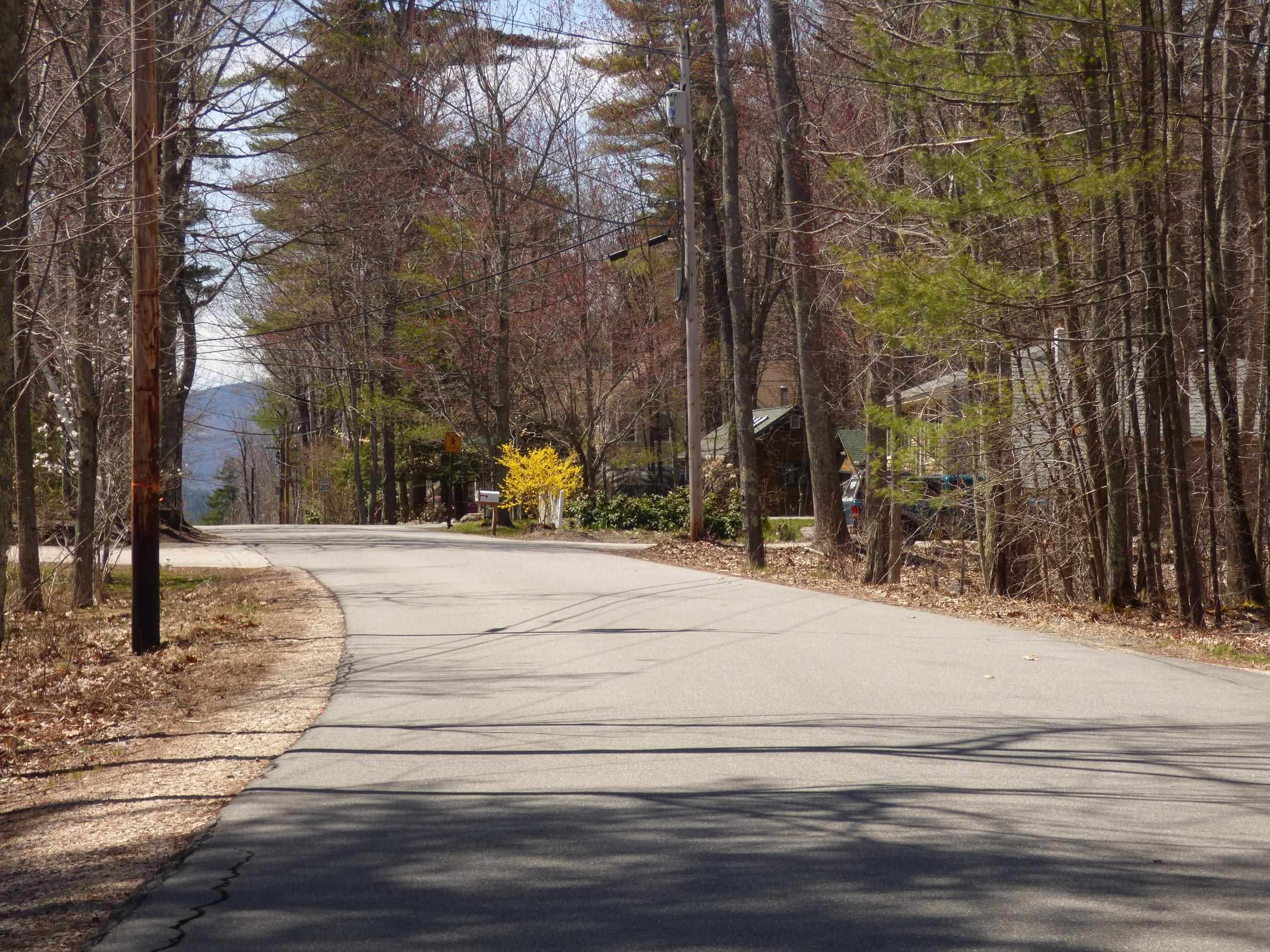 0 Port Wedeln Road Wolfeboro, NH 03894 - Photo 6 of 9 Gallery Image 6
