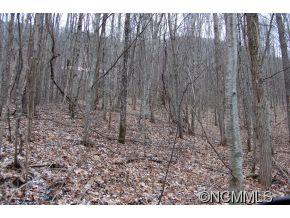 77 Rufus Road, Unit 77 Maggie Valley, NC 28751 - Photo 1 of 2