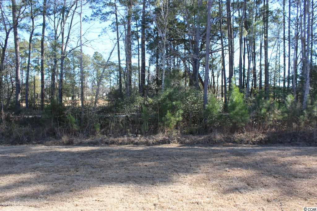 504 Whiddy Loop Conway, SC 29526 - Photo 18 of 28 Gallery Image 18
