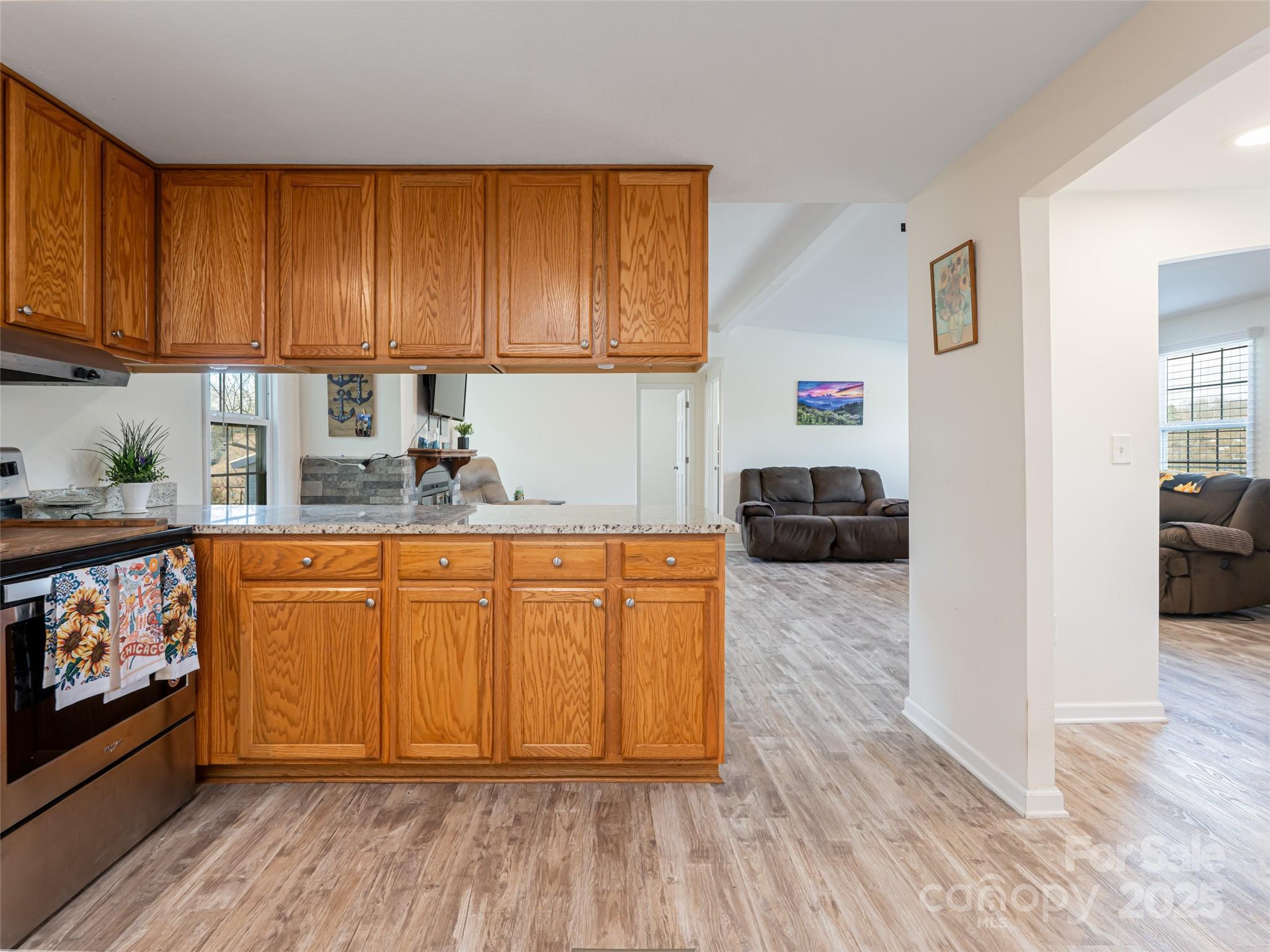 18 Brookside Street Clyde, NC 28721 - Photo 19 of 48