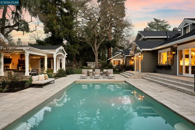 a view of a backyard with plants and tree