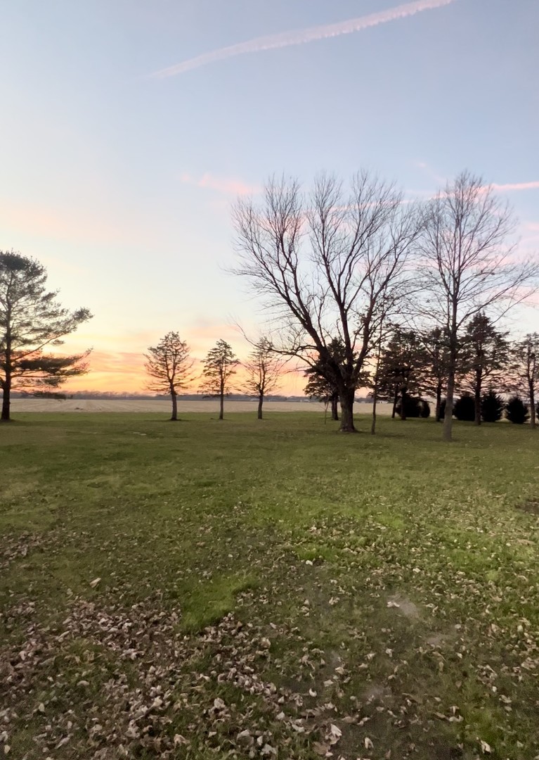 1285 South Gorman Road Mazon, IL 60444 - Photo 21 of 21 a view of outdoor space with trees