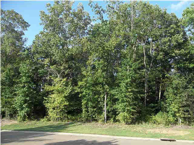 0 Camden Ridge, Unit 229 Madison, MS 39110 - Photo 2 of 9 Photo 2