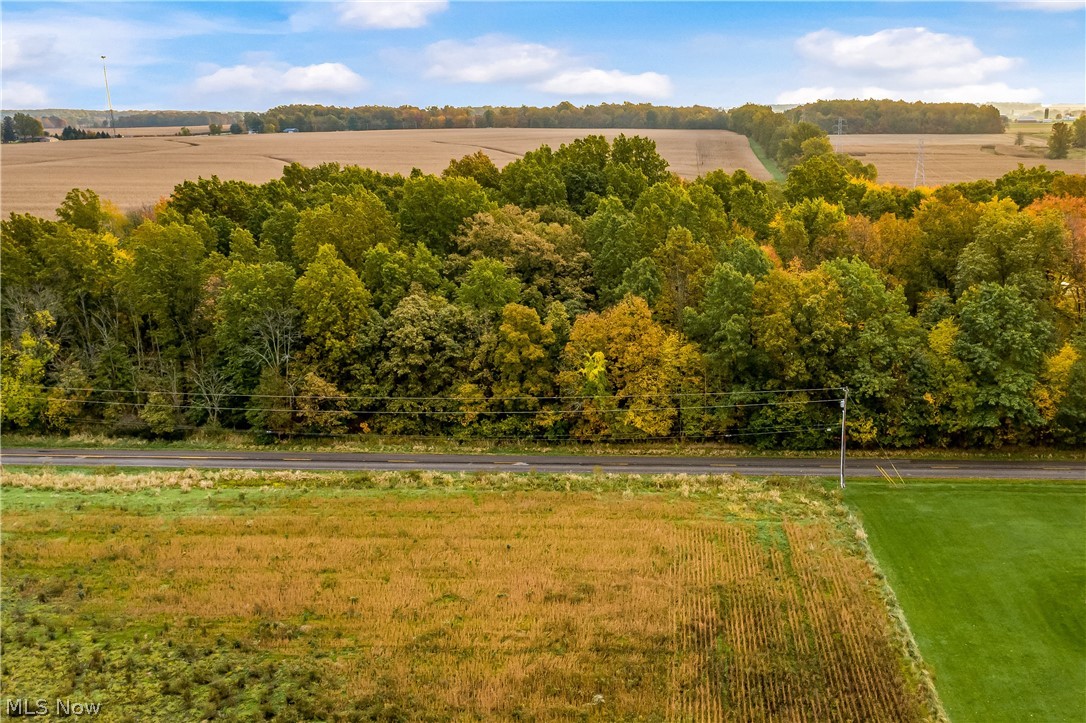 North Elyria Road West Salem, OH 44287 - Photo 20 of 21