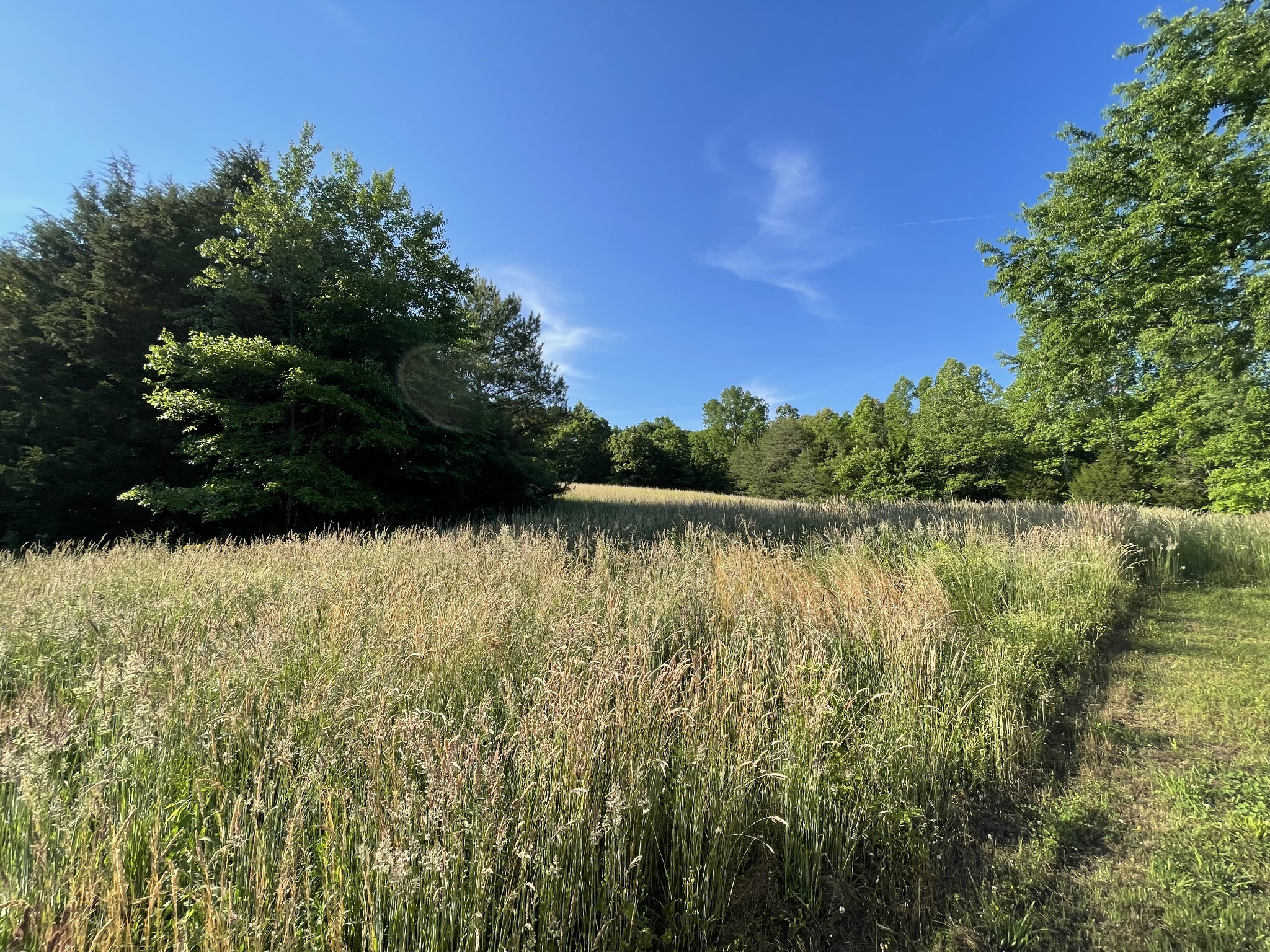 0 Lucas Road Dickson, TN 37055 - Photo 1 of 1 a view of lake
