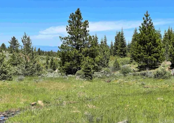 $10,000 | -glacier Dr Glacier Drive, Likely, CA 96116
