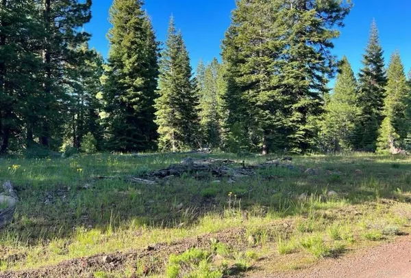 $10,000 | -glacier Dr Glacier Drive, Likely, CA 96116
