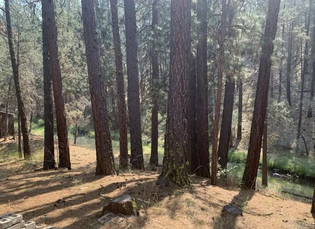 $10,000 | -glacier Dr Glacier Drive, Likely, CA 96116