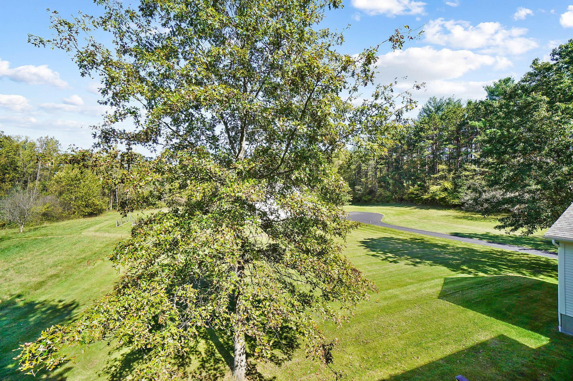 5582 Plantation Road Sunbury, OH 43074 - Photo 51 of 107 052