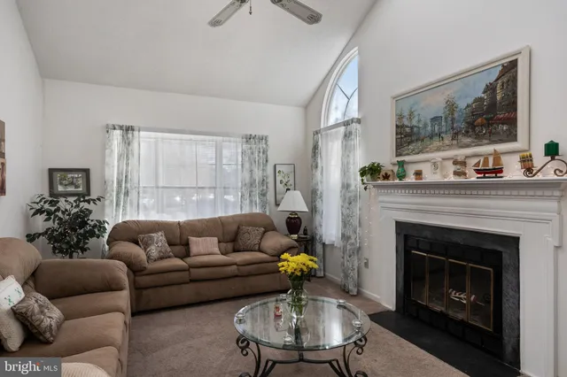 a living room with furniture and a fireplace