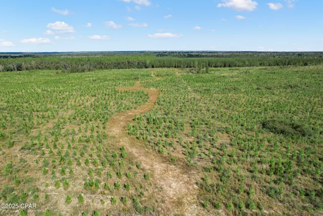 $70,000 | 0 Northwest Cr-73a, Altha, FL 32421